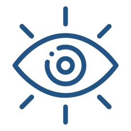 Our Vision